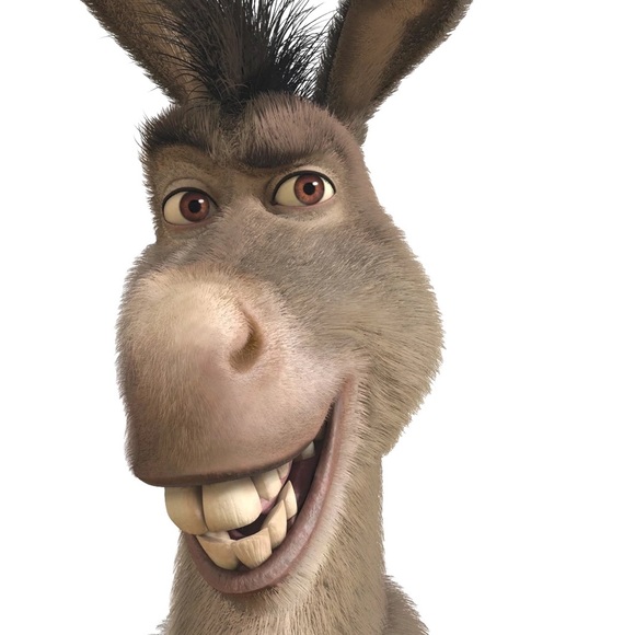 Nicco - Picture 1 of 1